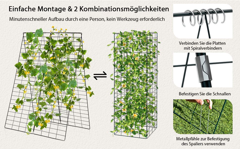 wachstumsstütze für gemüse