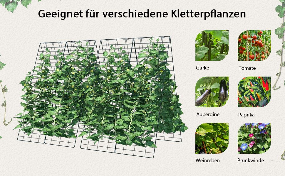 obst und kletterpflanzen