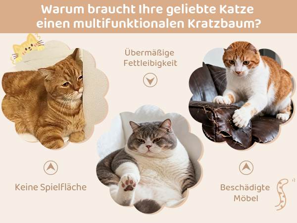 Praktisches Katzenmöbel
