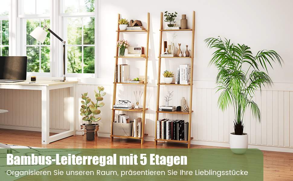 Raumgreifendes Leiterregal