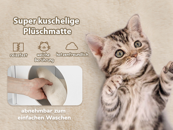 Katzenschrank mit Trennwand