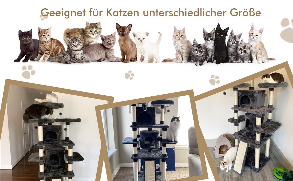indoor katzen kratzbaum