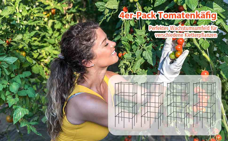 Robuste Tomatenstütze