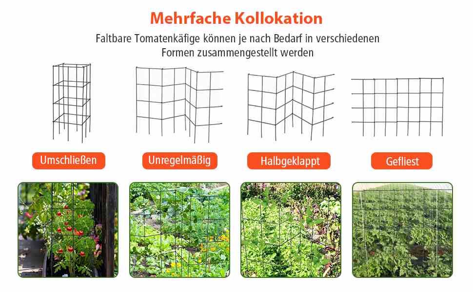 Robuste Tomatenstütze