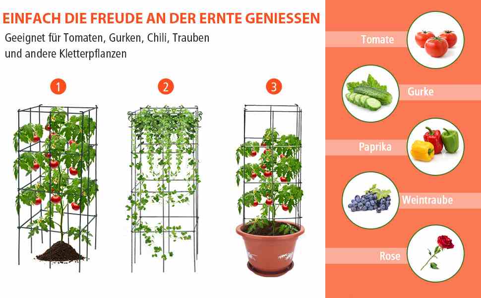 Robuste Tomatenstütze
