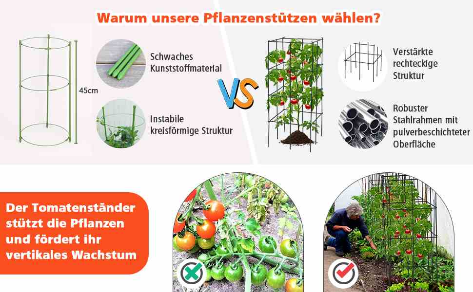 Robuste Tomatenstütze