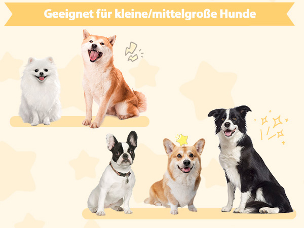 Gemütliches Haustiersofa