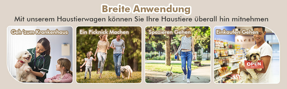 hunde katzen haustierwagen spazieren