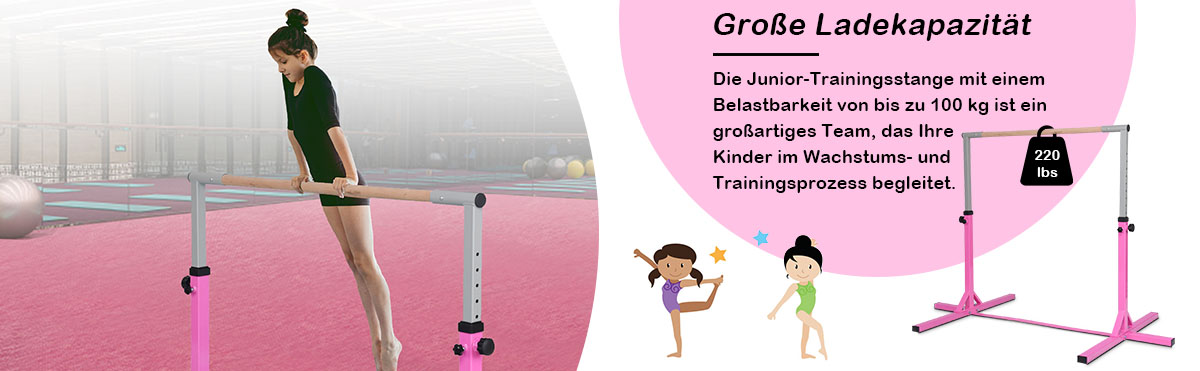 Turnstange mit 12 Stufen