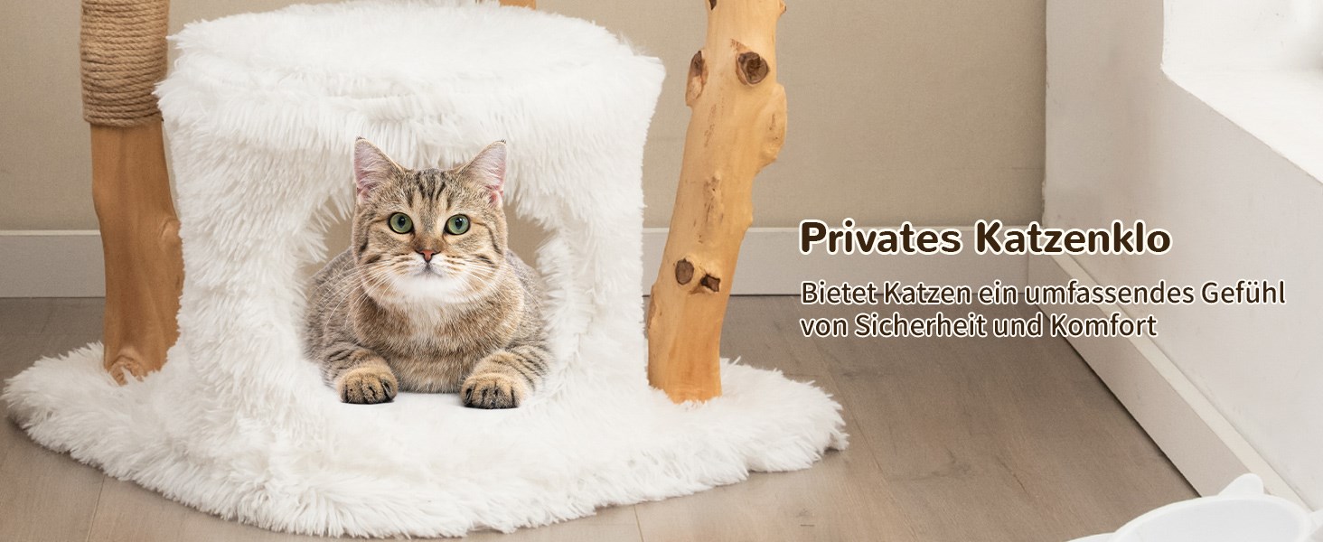 aktivitätszentrum für hauskatzen