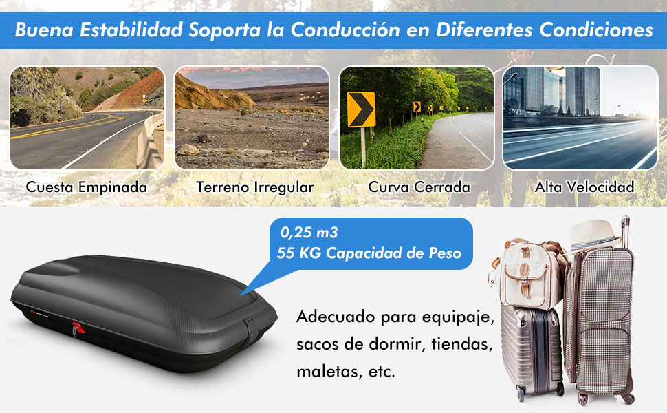 Baca para coche