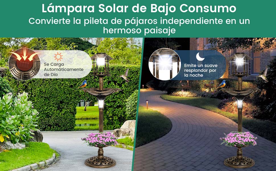 comedero