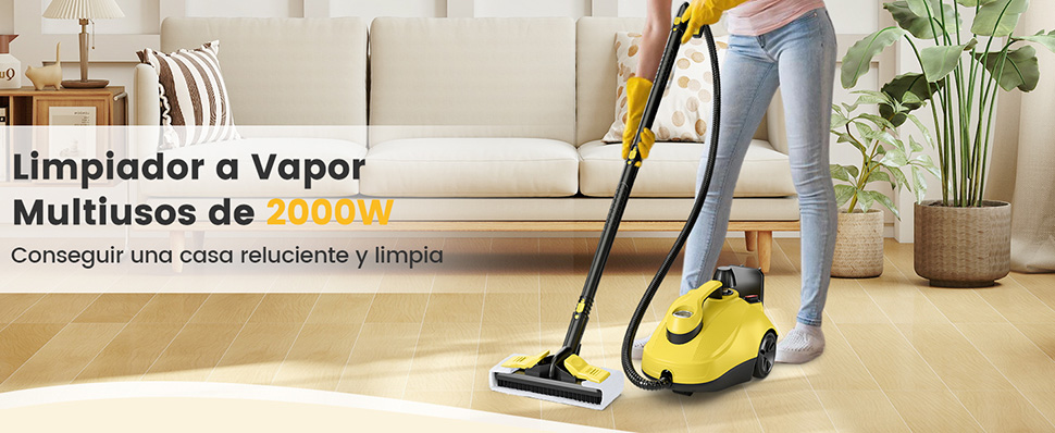 ‌Limpieza a vapor 160℃ 5 bar