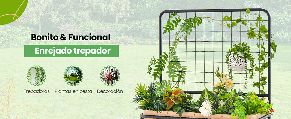 Cama de cultivo con divisor
