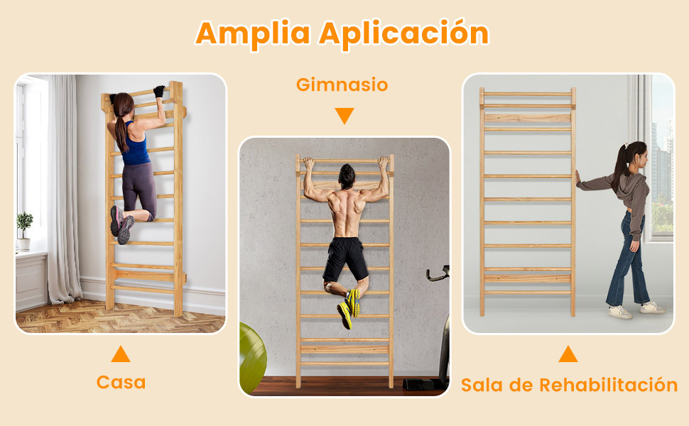 Espaldera para Gimnasio