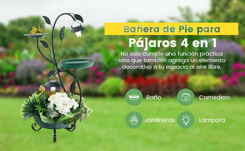 Combo de Pie