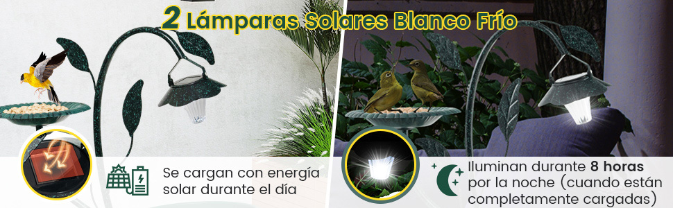 baño para pájaros con energía solar