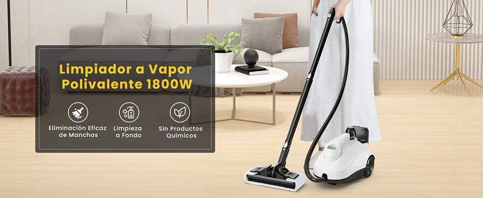 ‌Limpia a vapor 2000W 5 bar