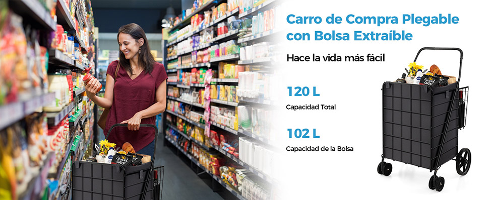 Carrito de Compras