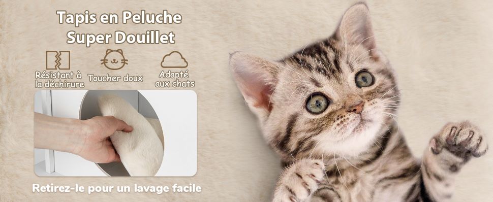 armoire-a-litiere-pour-chat