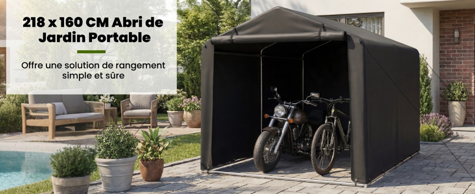 abri-d'auto-robuste