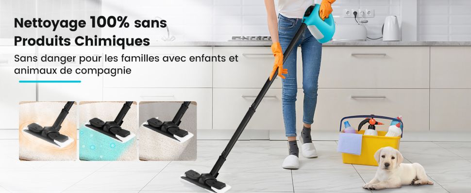 nettoyeur-vapeur-sous-pression-portatif