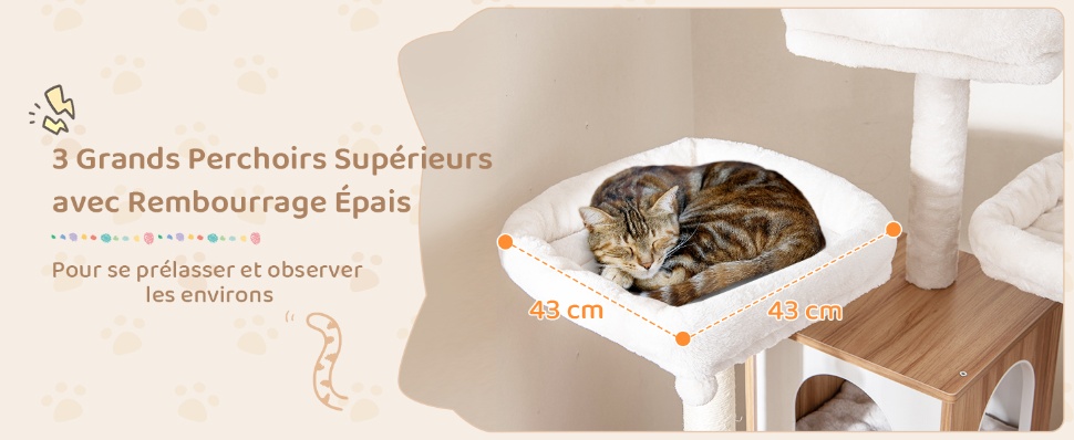 grande-tour-a-chat