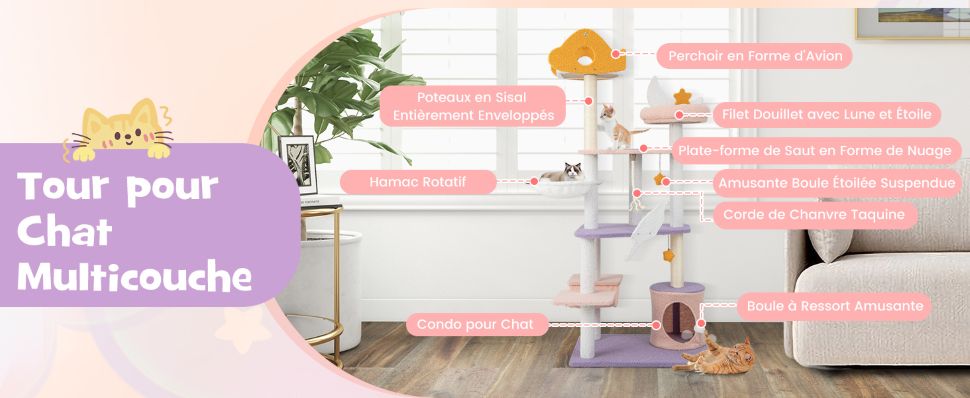 centre-d'activites-pour-chaton