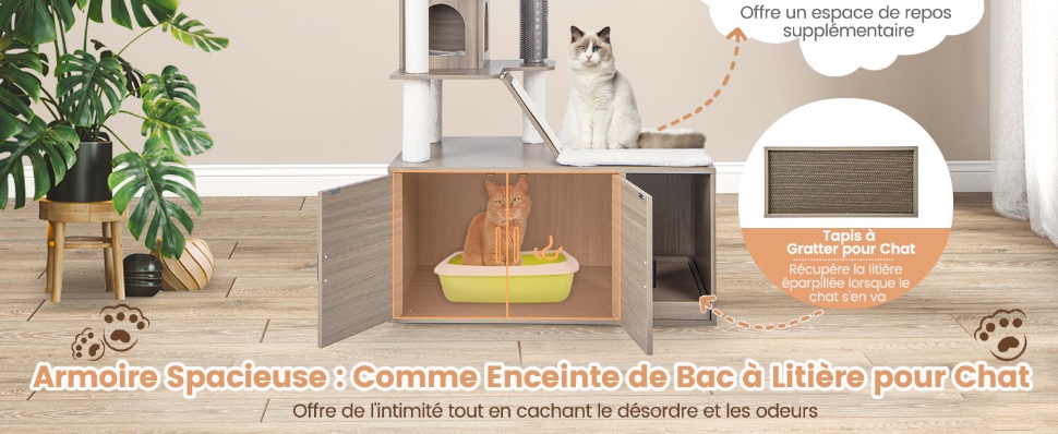 tour-a-chat-pour-chats-d'interieur