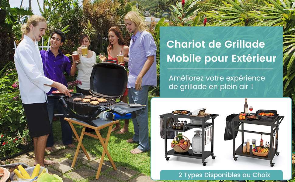 chariot-de-barbecue-exterieur