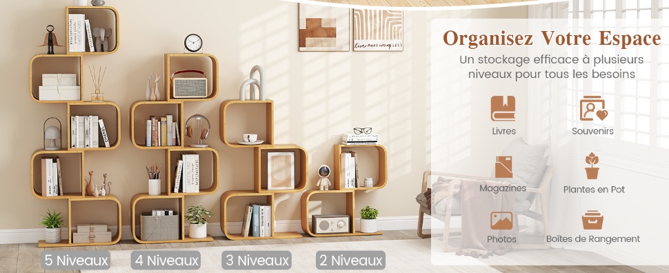 bibliotheque-en-forme-de-S