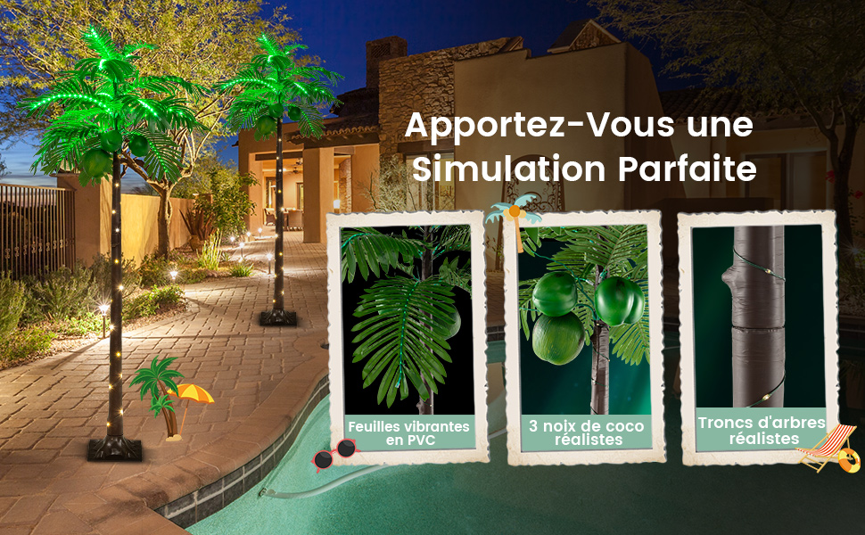 palmier-tropical-lumineux