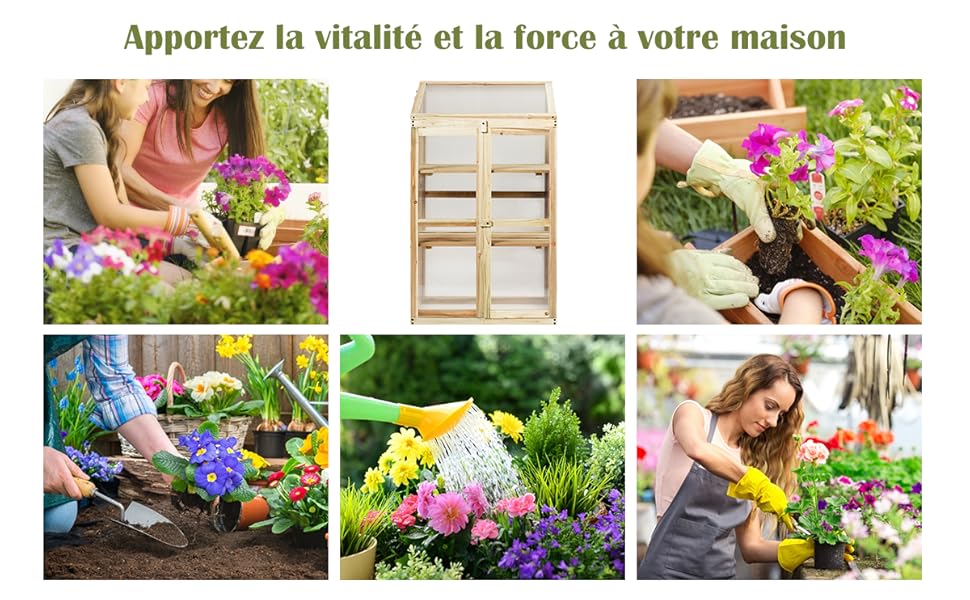 serre-pour-legumes-a-fleurs