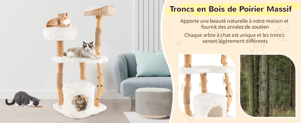 centre-d'activites-pour-chat