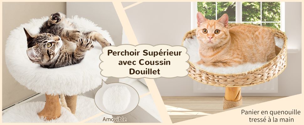 tour-a-chat-moderne-pour-chats-d'interieur