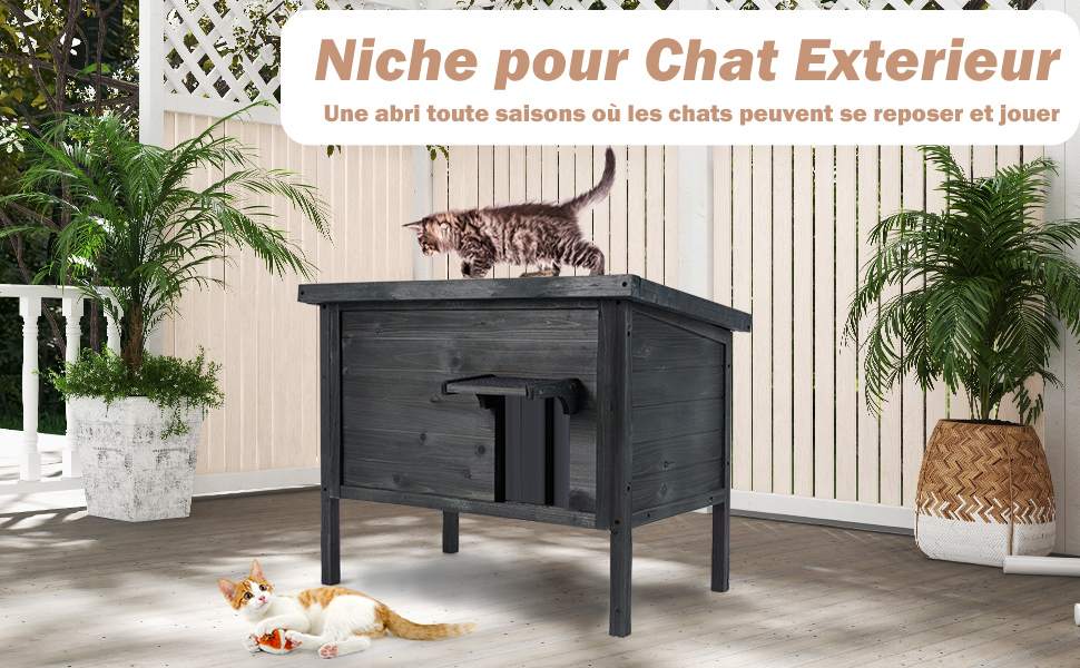 Maison-pour-chat-exterieure-isolee