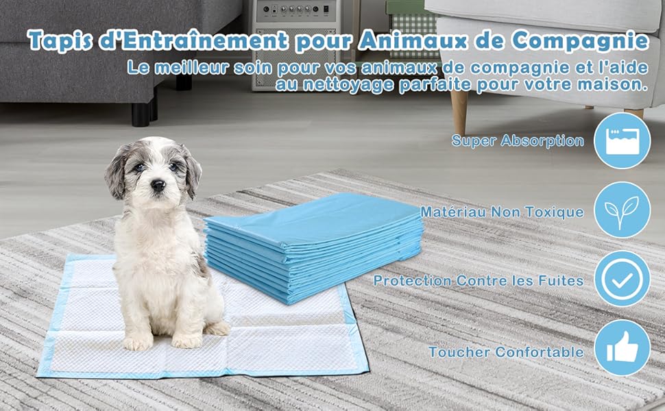 tapis-de-pipi