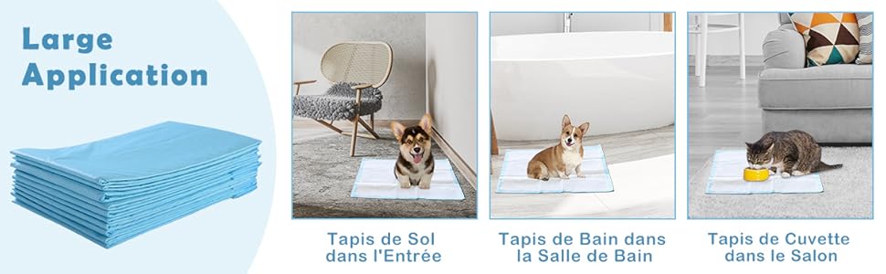 tapis-hygienique