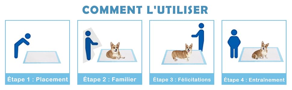 tapis-pour-chiots