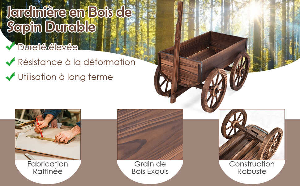 brouette-decorative