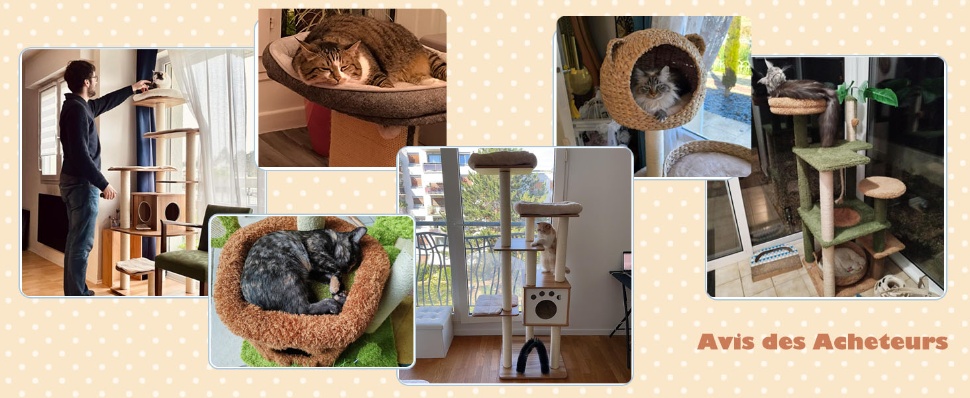 tour-a-chat-pour-chats-d'intérieur