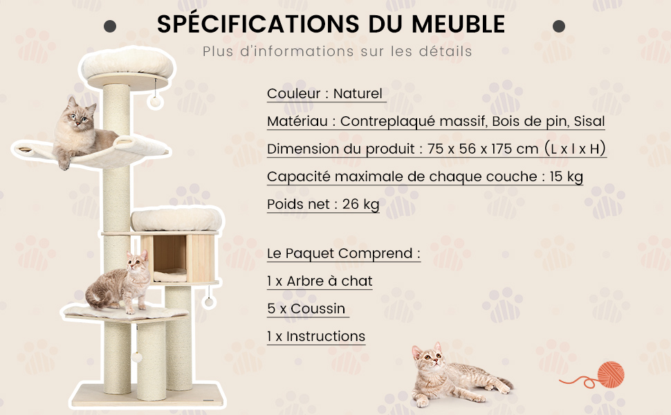centre-d'activites-pour-chatons