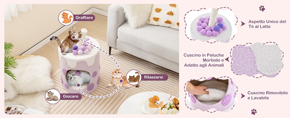 Esperienza di Lusso per i Gatti
