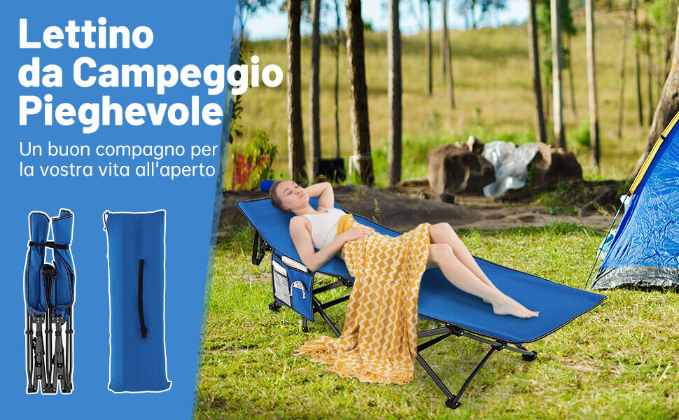 struttura a 10 punti