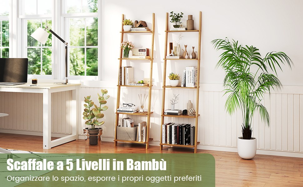 Scaffale a 5 Ripiani