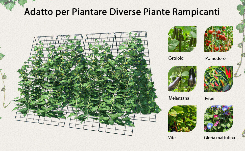 Facile da montare e accessori multipli